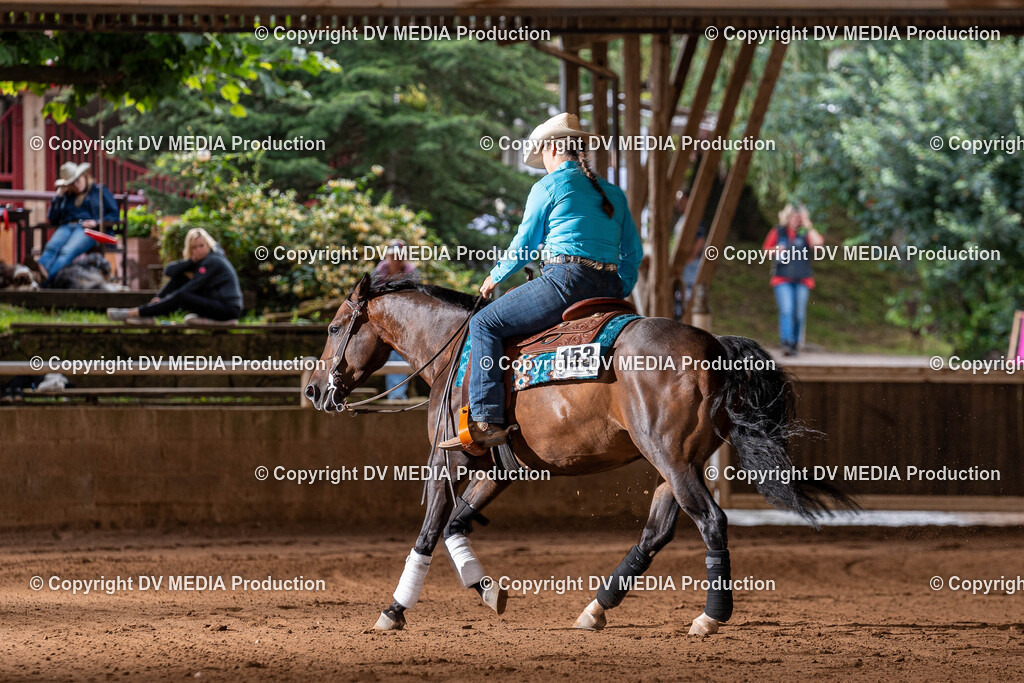 Erbach Tag 2-1142 | dv-media-shop - Realisiert mit Pictrs.com