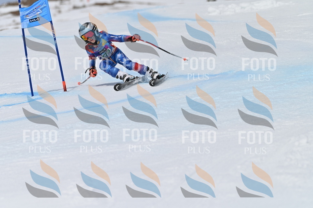 BGV_5402 | holidayphoto