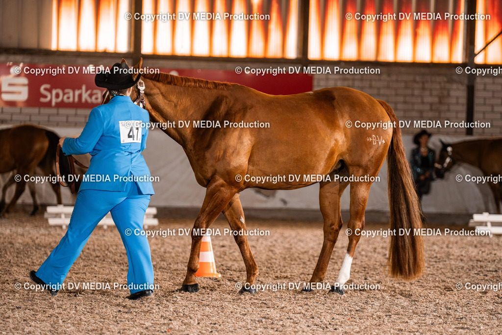 ZH100095 | dv-media-shop - Realisiert mit Pictrs.com