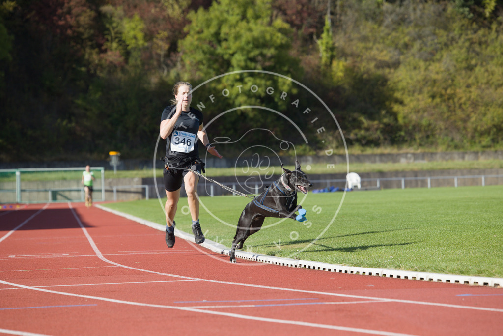 0L8A9451 | Hundefotografie, Tierfotograf, Pfotenfotografie, Fotoshooting Hund, Hunde Portrait, Hundesport, Hundeportraits, Heideshooting, Hunde, Sportfotograf, Hundefotograf, Turnierhundsport, THS,  - Realisiert mit Pictrs.com