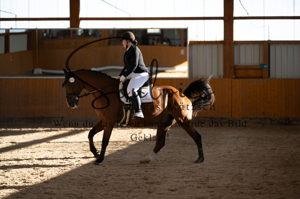 A7V01784 | Turnier/Reitfotograf