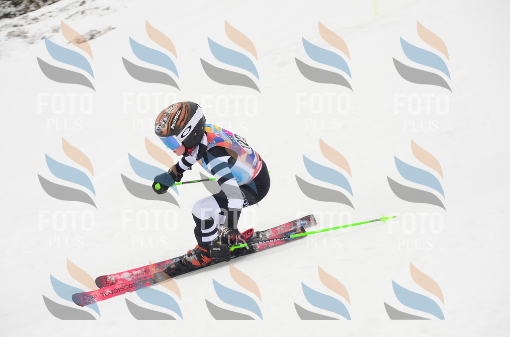 C1563 | holidayphoto