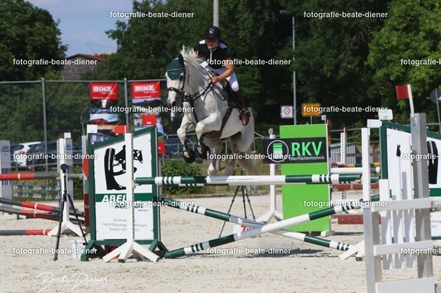 Zeit L (37) | Fotografie, Tiere, Hunde, Katzen, Pferde, Sportfotografie, Fotosession, Tierfotografie, Turnierfotografie, Fotografin, Fotograf - Realisiert mit Pictrs.com