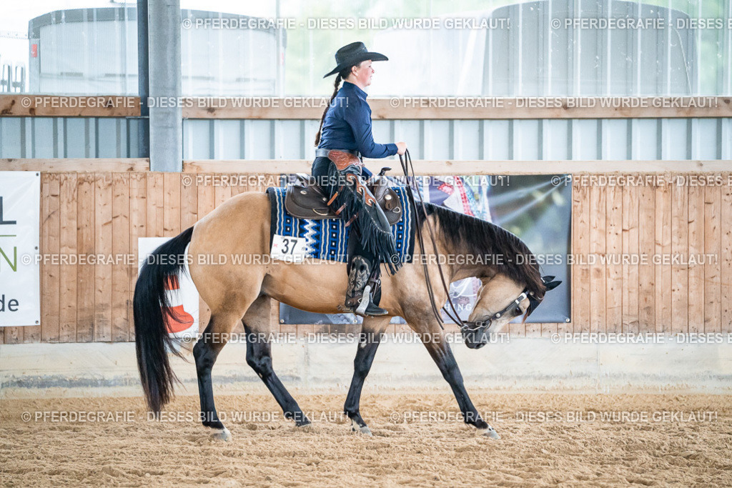 DSC03448 | Pferdegrafie