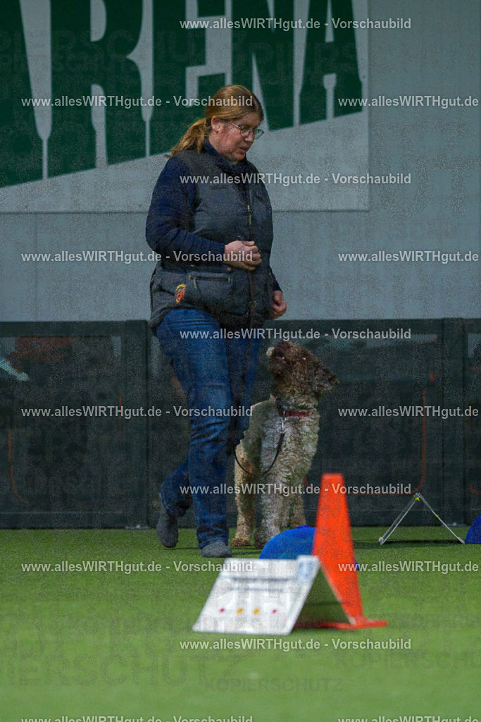 7R507794 | Professionelle Tierfotografie in Mönchengladbach von Daniel Wirth (allesWIRTHgut). Liebevolle & natürliche Bilder von Hunden & Katzen für unvergessliche Erinnerungen.
