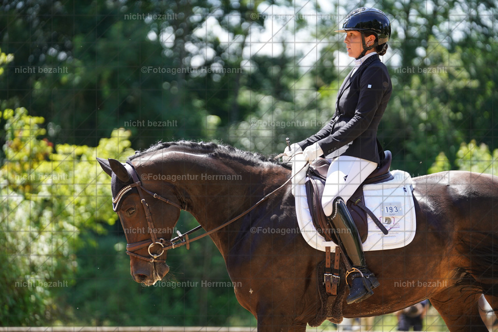 20240705-FAH04114 | Turnierbilder von Grafing, Reitsportbilder, Turnierfotos, Turnierfotografen Bayern, Pferdefotograf, Fotoagentur Herrmann