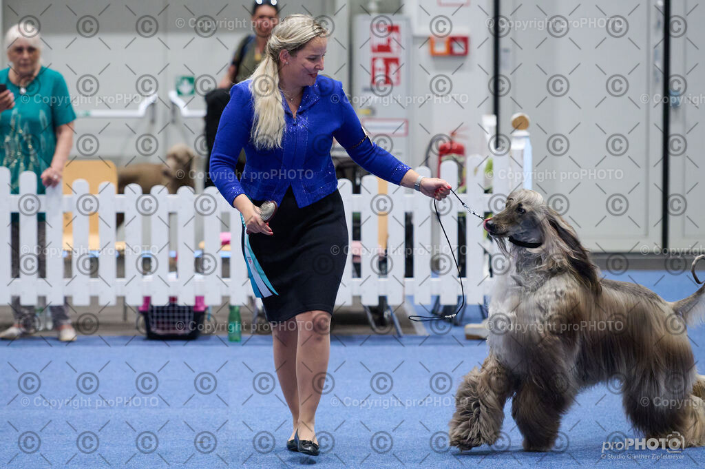 202406_ÖKV-IHA-Tulln24_DSC_3264 | proPHOTO - Realisiert mit Pictrs.com