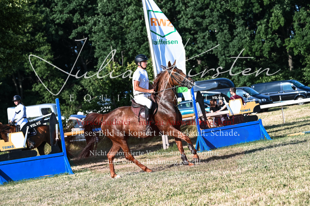 DSC_2748 | Pferde- und Turnierfotografie in Westsachsen. Pferdeportraits, Auftragszeichnungen und intuitive Kunst.