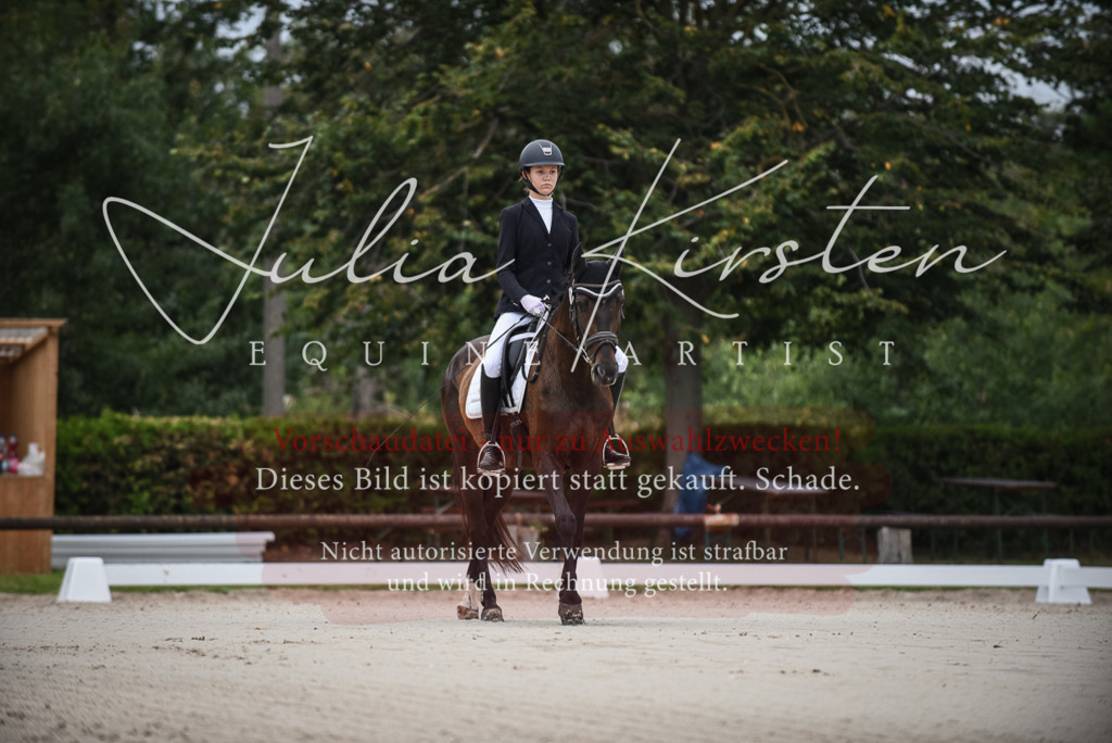 DSC_7908 | Pferde- und Turnierfotografie in Westsachsen. Pferdeportraits, Auftragszeichnungen und intuitive Kunst.