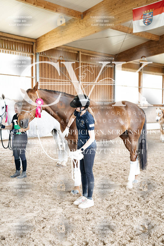 CK703287 | Turnierfotografie Pferdefotografie Trier Rheinland-Pfalz Pferdesport Reitsport Tierfotografie Sportfotografie Pferdevideo Pferdevideografie Equestrianvideography equestrianphotography  - Realisiert mit Pictrs.com