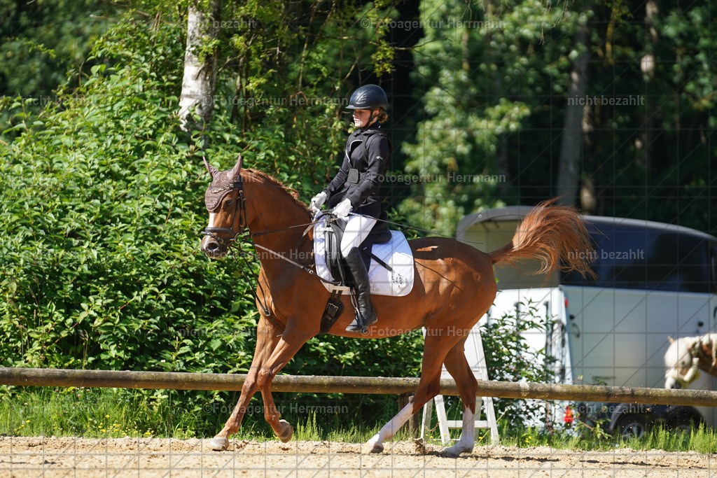 20240706-FAH04859 | Grafing Turnierfotos, Reitverein Ebersberg, Turnierfotografen Bayern, reitsportbilder, Pferdefotograf, reitsportfotograf, Sportbilder, Reitsportfotografie, Fotoagentur Herrmann, Turnierfotograf