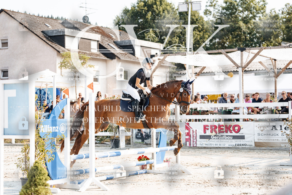 CK902831 | Turnierfotografie Pferdefotografie Trier Rheinland-Pfalz Pferdesport Reitsport Tierfotografie Sportfotografie Pferdevideo Pferdevideografie Equestrianvideography equestrianphotography  - Realisiert mit Pictrs.com