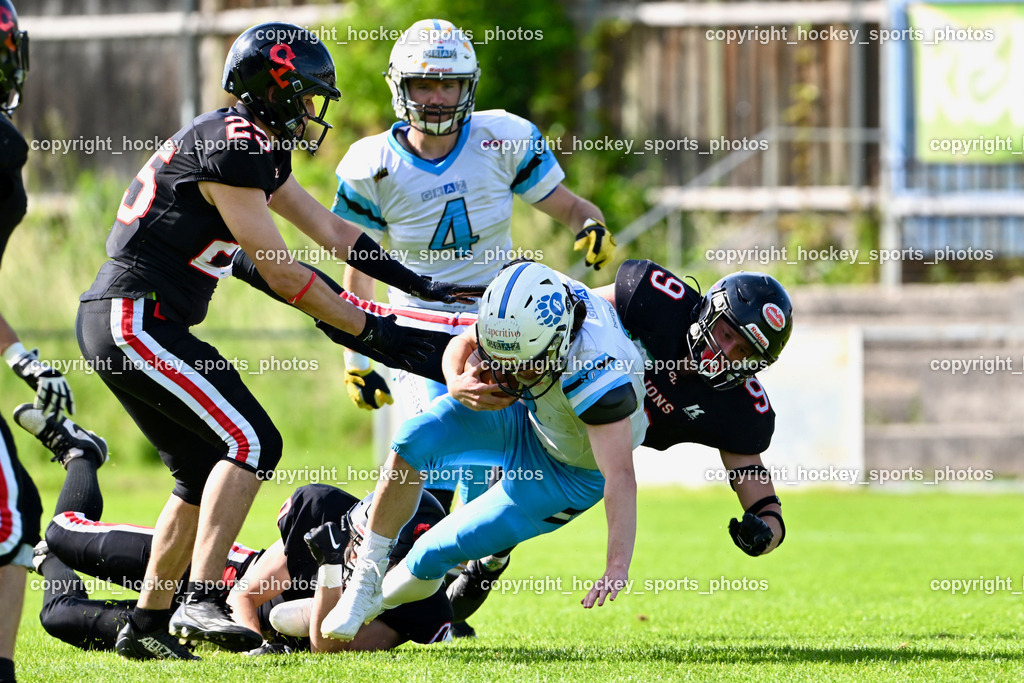 Carinthian Lions vs. Styrian Bears | Carinthian Lions vs. Styrian Bears, Carinthian Lions vs. Styrian Bears am 20.05.2024 in Klagenfurt (ASV Sportplatz), Austria, (Photo by Bernd Stefan)