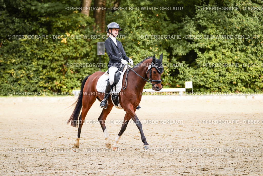 DSC09681 | Pferdegrafie