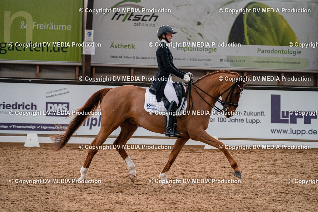 Kranichstein Tag 1-451 | dv-media-shop - Realisiert mit Pictrs.com