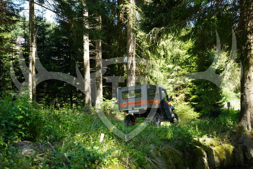 FC101443 | Fotogalerie der Treibjagd im Dunkelwald - Dein MTB Etappenrennen im Erzgebirge - Realisiert mit Pictrs.com