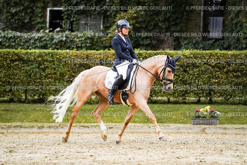 DSC09017 | Pferdegrafie