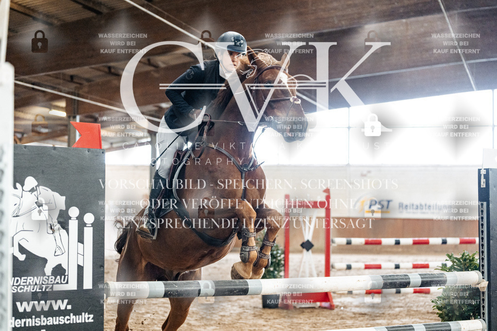CK906157 | Turnierfotografie Pferdefotografie Trier Rheinland-Pfalz Pferdesport Reitsport Tierfotografie Sportfotografie Pferdevideo Pferdevideografie Equestrianvideography equestrianphotography  - Realized with Pictrs.com