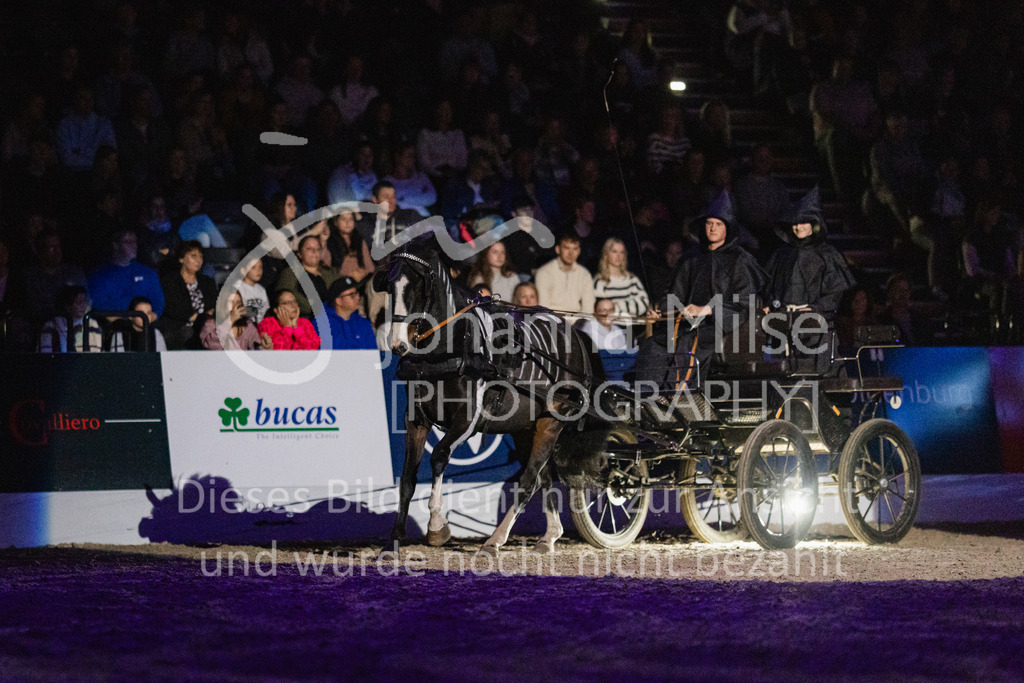 241102_Oldenburg_Show-305 | Deine schönsten Turniermomente als professionelle Fotos! Entdecke hochwertige Pferdesport-Fotografie im Online-Shop. Jetzt Fotos finden & bestellen!