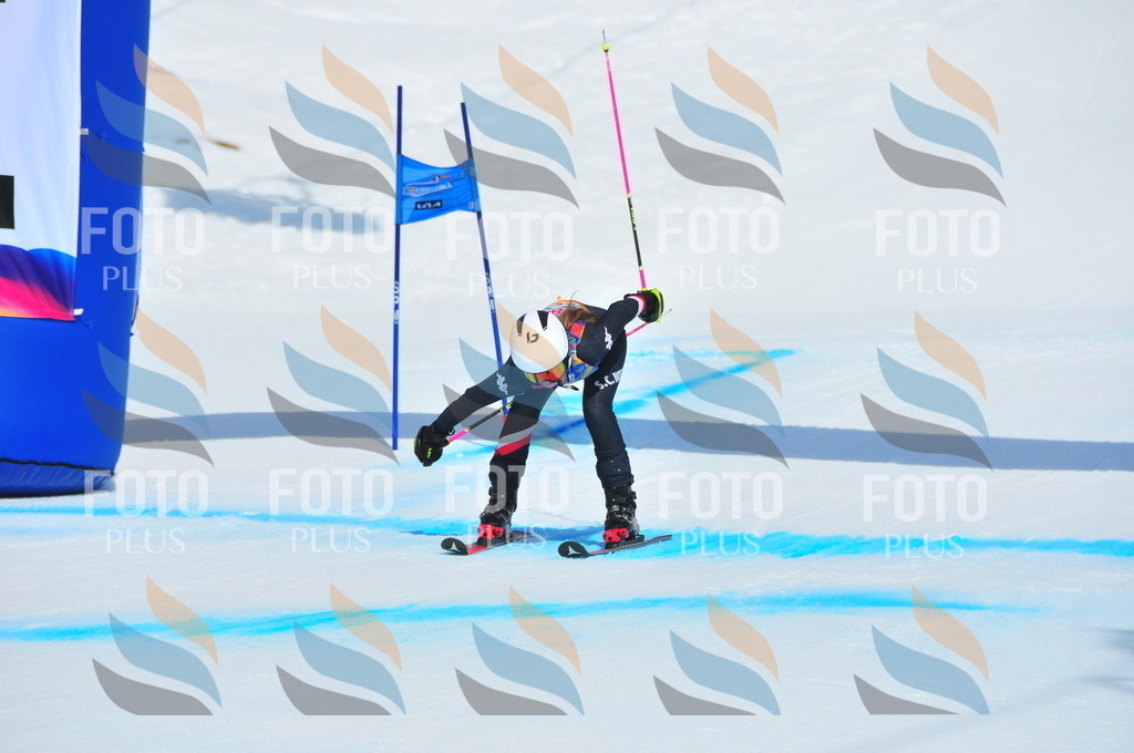 DSC_5393 | holidayphoto