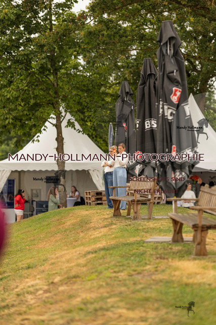 SW 4-528 | mandyhollmannphotographie