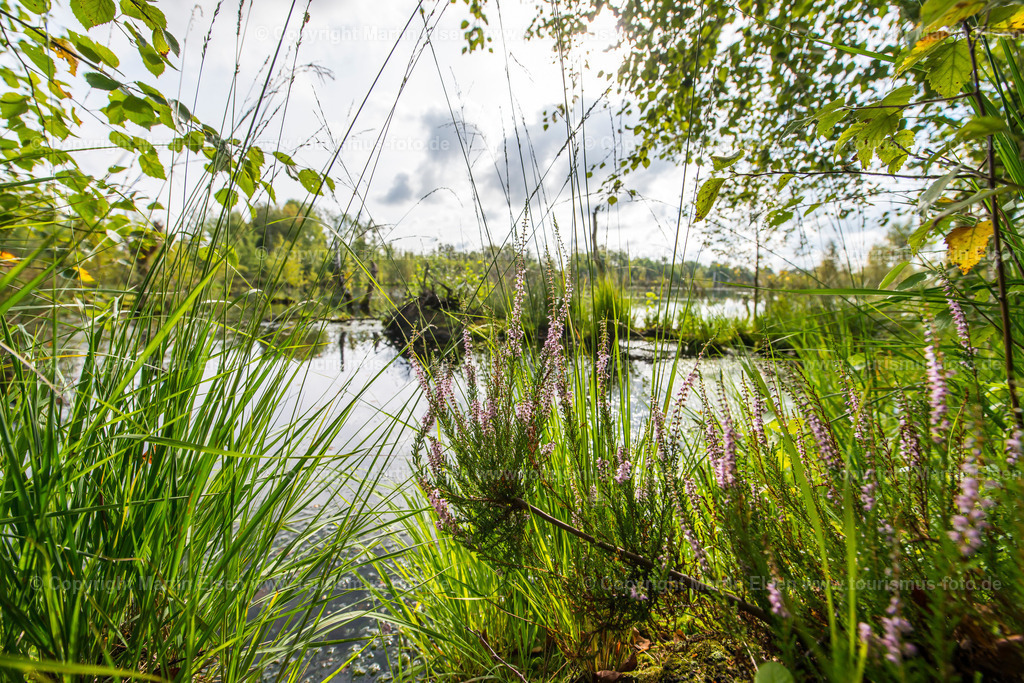 Oldendorf Hohes Moor_ELS_9243150816 | Oldendorf - Aufnahmedatum: 15.08.2016, Aufnahmehöhe:  m, Koordinaten:  - , Bildgröße: 7360 x  4912 Pixel - Copyright 2016 by Martin Elsen, Kontakt: Tel.: +49 157 74581206, E-Mail: info@schoenes-foto.deSchlagwörter:Hohes Moor,Moor,Landschaft,Samtgemeinde Himmelpforten, Insel, Niedersachsen,Martin Elsen, Landkreis Stade, - Realisiert mit Pictrs.com