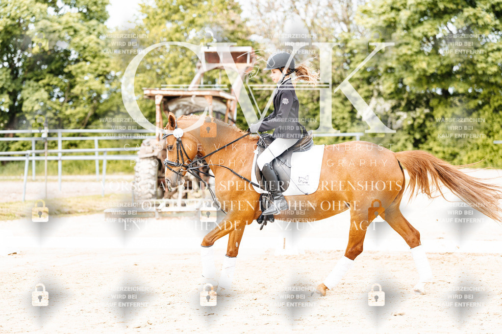 CK904594 | Turnierfotografie Pferdefotografie Trier Rheinland-Pfalz Pferdesport Reitsport Tierfotografie Sportfotografie Pferdevideo Pferdevideografie Equestrianvideography equestrianphotography  - Realisiert mit Pictrs.com