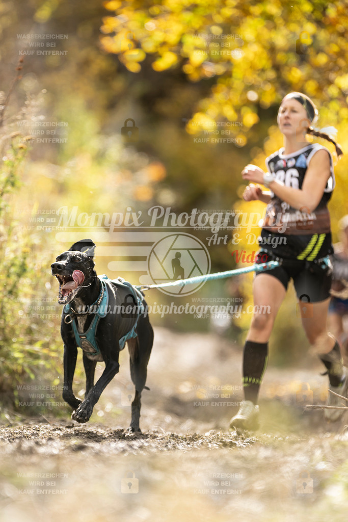 MompixPhotography_ICF_WC_2024_SA_Run_-131 | PayLife