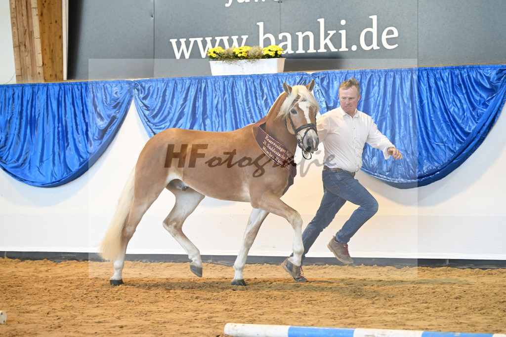 Kat-Nr. 9 Wilson P v. Wegas_Bleicher_60221615 | hf-fotografie - Realisiert mit Pictrs.com
