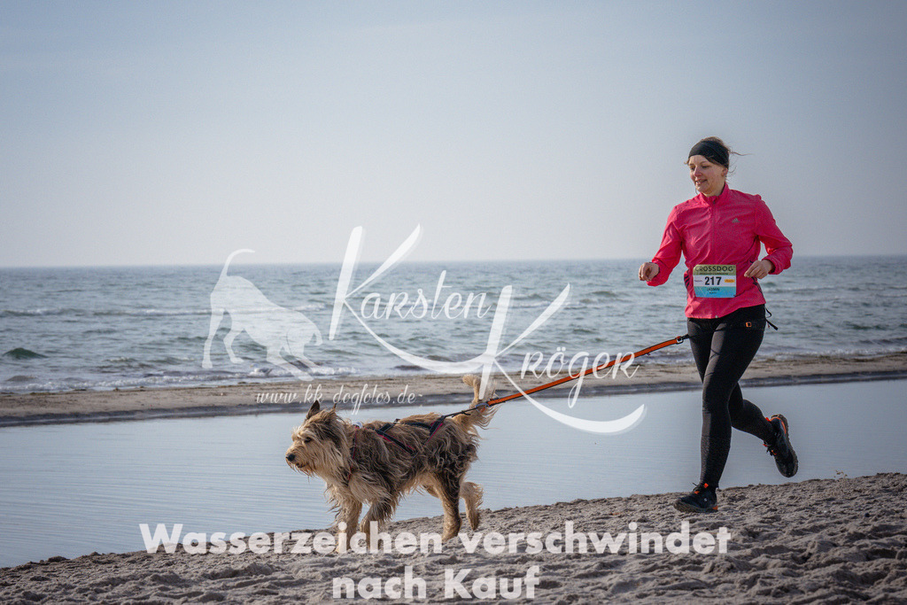 1011_ZZ94092 | kk-dogfotos