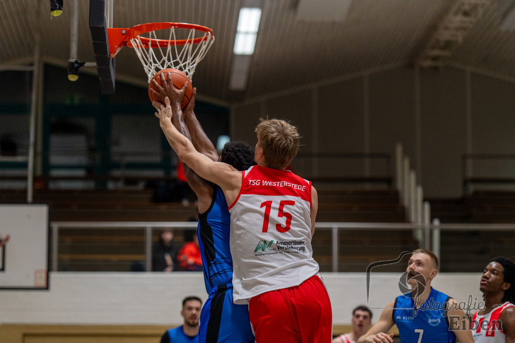 TSG Westerstede-Fortuna Logabirum | Basketball 2. Regionalliga; TSG Westerstede 2 (weiß)- Fortuna Logabirum (blau) am 12.12.2025 in Westerstede (Hössensportzentrum), Photo: Philip Eiben 2025 - Realisiert mit Pictrs.com