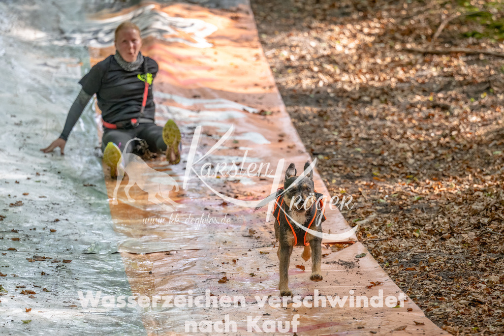 1143_ZZ92177-Bearbeitet | kk-dogfotos