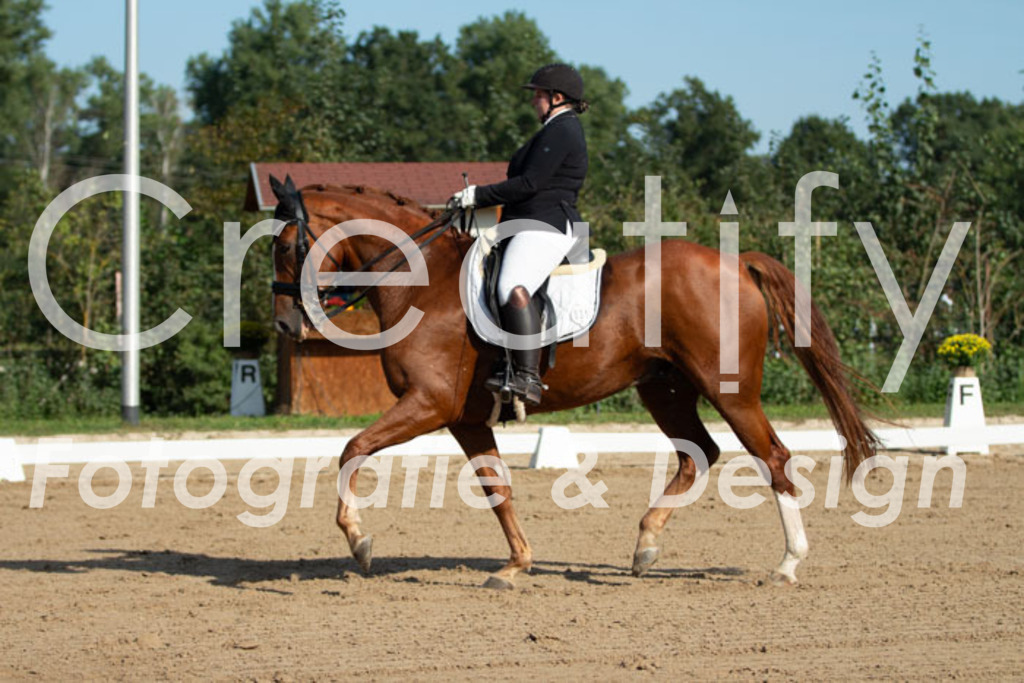 IMG_0471 | Creatify Fotografie