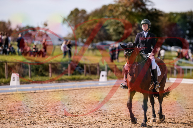 2026_10_03_Siefer-Hof_130122_Z81_53307471 | Professionelle Reitsport-, Turnier- und Eventfotografie von Robert Broda. Galerien mit ausgewählten und bearbeiteten Bildern direkt online ansehen und bestellen.