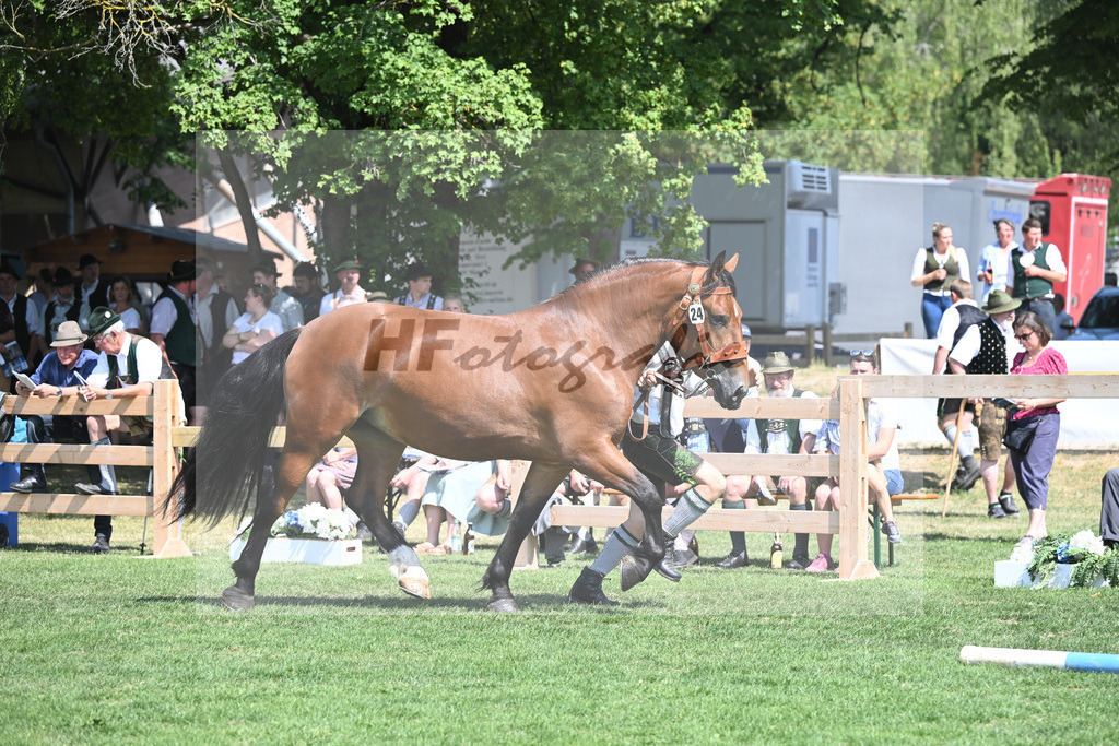 Kat-Nr. 24 Pepper_Gasteiger_20230350 | hf-fotografie - Realisiert mit Pictrs.com