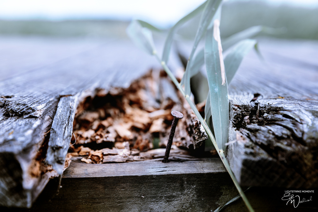 Art Alarm | Herzlich willkommen auf meiner Seite! Ich bin Elke Wallnisch, Deine Fotografin für lichtstarke Momente. Der Name steht für alles, was mich mit der Fotografie verbindet: Das Licht und seine machtvolle Wirkung auf eine Situation oder unsere Stimmung - Realisiert mit Pictrs.com