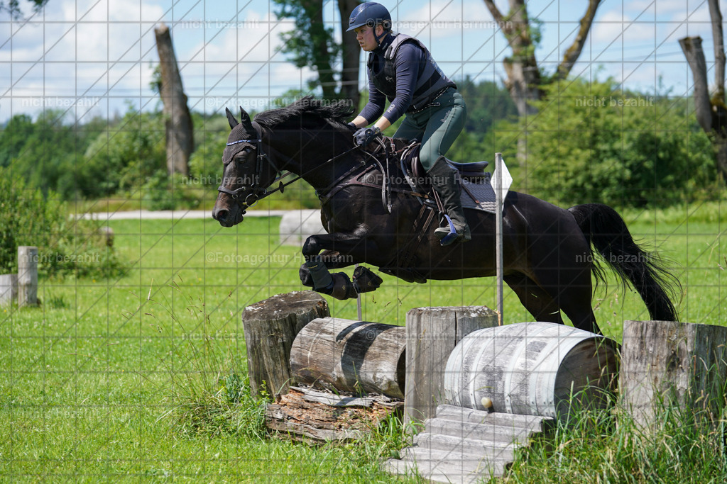 20240622-FAH06859 | Turnierfotografen Bayern, Reitsportbilder aus dem Geländekurs mit Felix Etzel auf dem Gut Waitzacker 2024