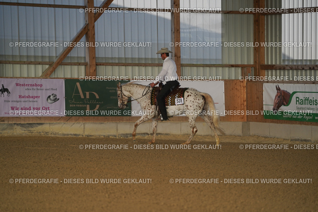 DSC07993 | Pferdegrafie