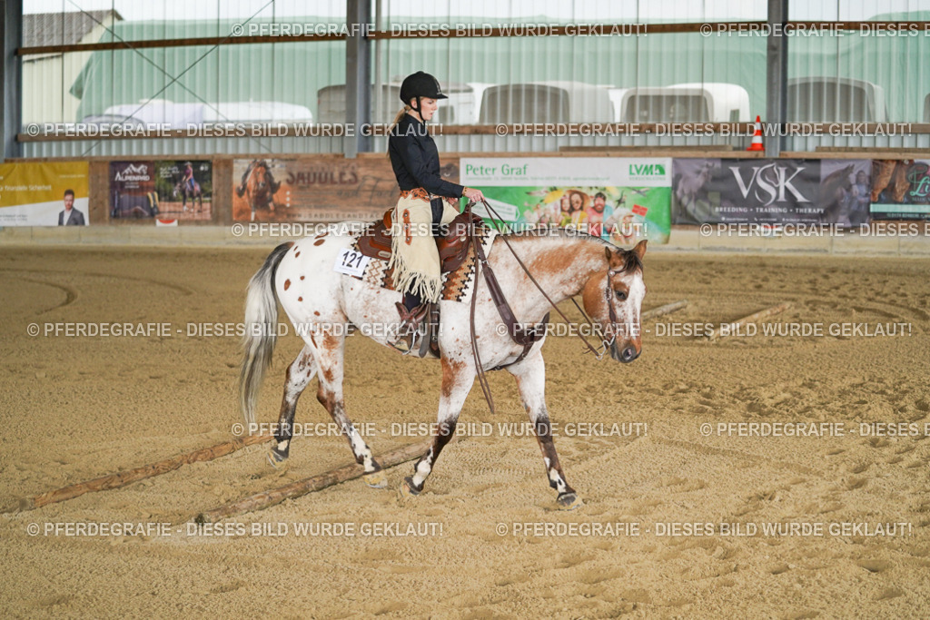 DSC06437 | Pferdegrafie