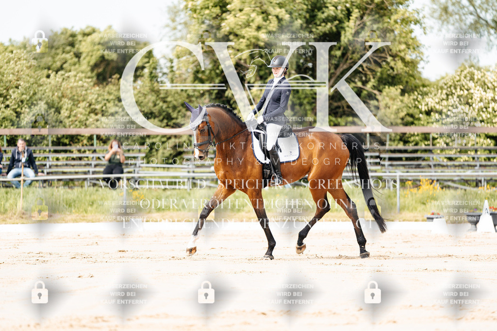 CK900670 | Turnierfotografie Pferdefotografie Trier Rheinland-Pfalz Pferdesport Reitsport Tierfotografie Sportfotografie Pferdevideo Pferdevideografie Equestrianvideography equestrianphotography  - Realisiert mit Pictrs.com