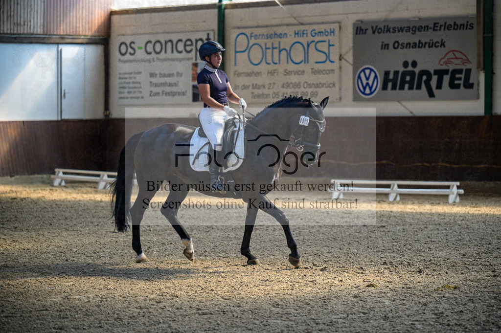 Reitturnier Voxtrup | Entdecke hochwertige Reitturnierfotos von Foto Oger. Professionell, emotional und authentisch – jetzt Lieblingsmomente im Shop bestellen.Deutschlandweite Turnierfotografie. - Realisiert mit Pictrs.com