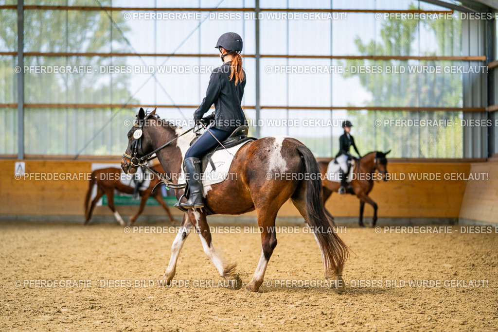 DSC03627 | Pferdegrafie