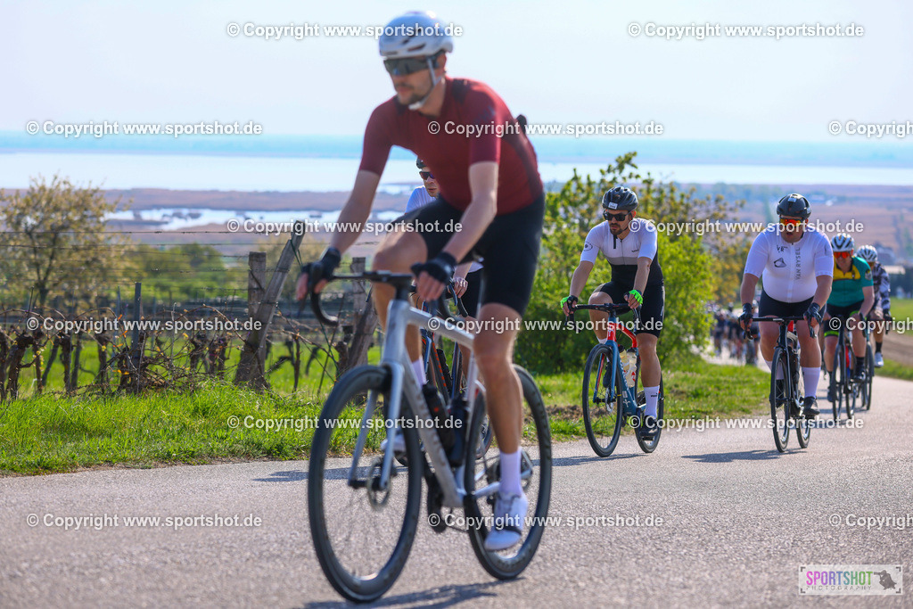 TRA_0585 | Neusiedlersee Radmarathon 2026@sportshot_your_pictrs #yourpictures#roadtowm2029 #nrm #neusiedlerseeradmarathon #neusiedlersee #neusiedlerseetourismus #burgenland #mörbisch #nrm26 #burgenlandtourismus #voglundco #poweredbyburgenlandtourismus #radsport #rad #marathon #ucigranfondo #visitburgenland #ucigranfondoworldseries
