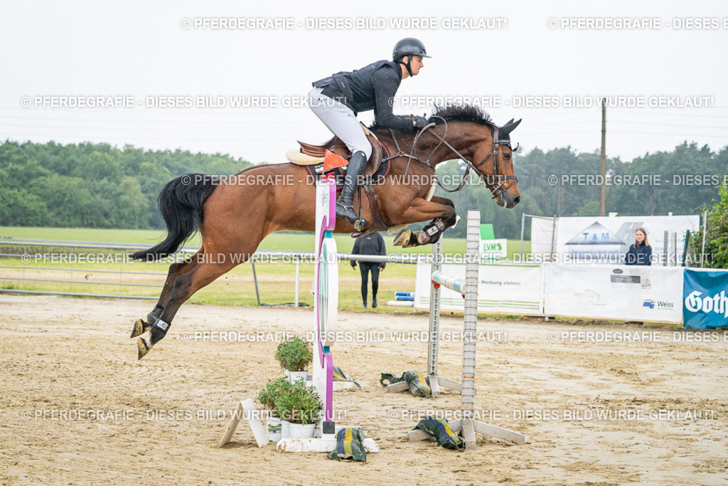 DSC01445 | Pferdegrafie