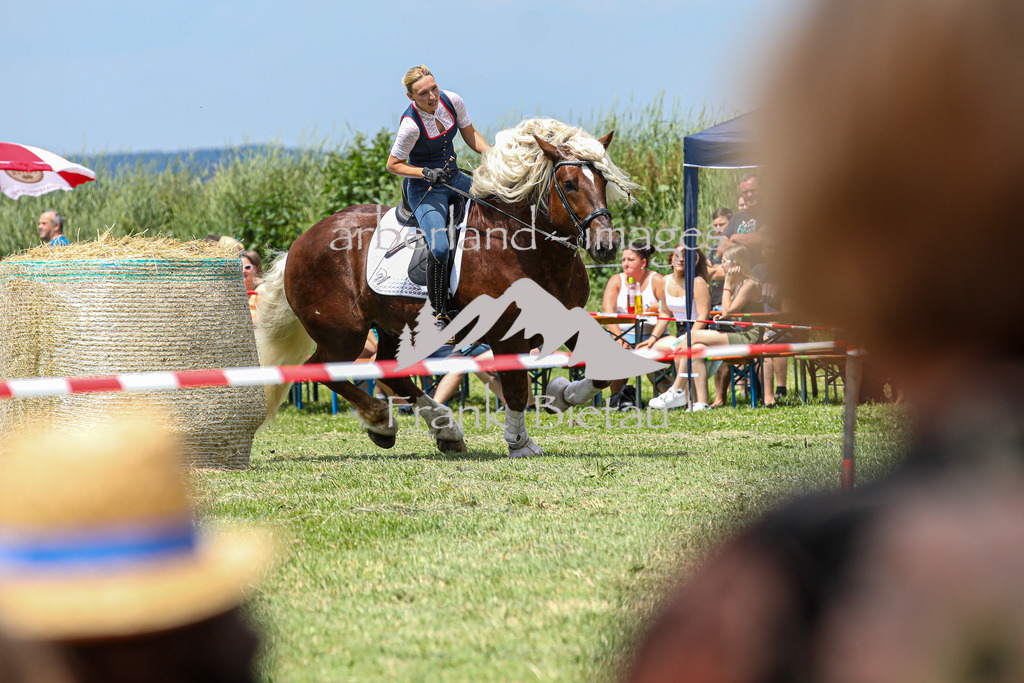 OE7A4280 | Beim Zugpferdetreffen in Poschedtsried galt es verschiedene Wettbewerbe zu meistern, Einzelrennen im Reiten, Traktorpulling und auch ein Hunderennen wurde veranstaltet