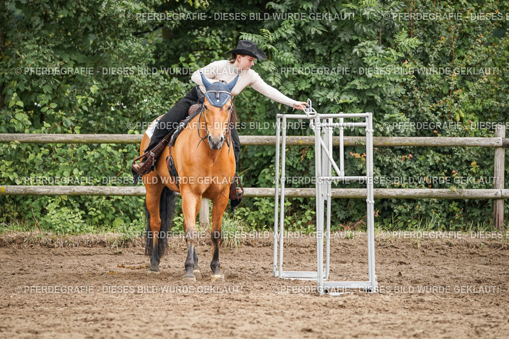 DSC04446 | Pferdegrafie