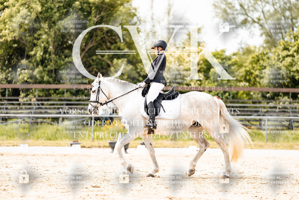 CK902473 | Turnierfotografie Pferdefotografie Trier Rheinland-Pfalz Pferdesport Reitsport Tierfotografie Sportfotografie Pferdevideo Pferdevideografie Equestrianvideography equestrianphotography  - Realisiert mit Pictrs.com