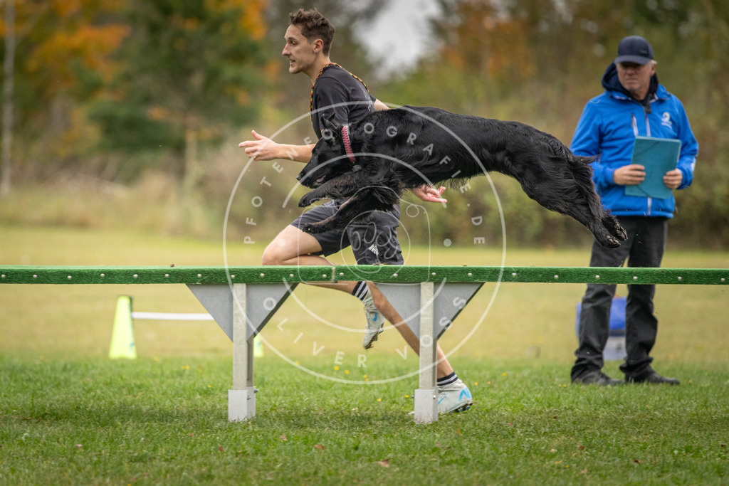 Pfotenfotografie_DV3A0055 | Hundefotografie, Tierfotograf, Pfotenfotografie, Fotoshooting Hund, Hunde Portrait, Hundesport, Hundeportraits, Heideshooting, Hunde, Sportfotograf, Hundefotograf, Turnierhundsport, THS,  - Realisiert mit Pictrs.com