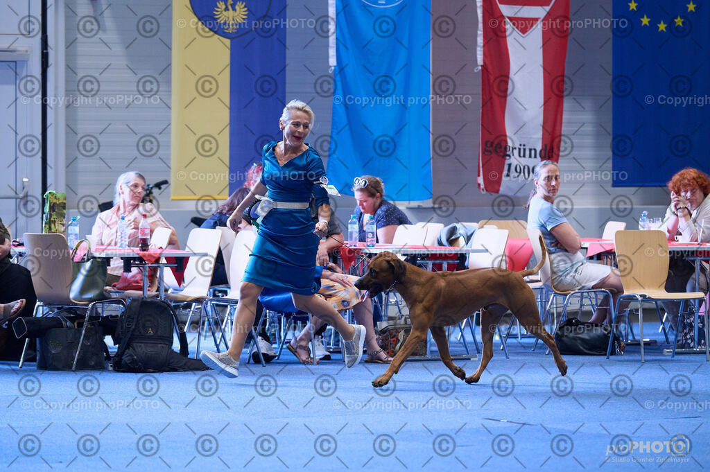 202406_ÖKV-IHA-Tulln24_DSC_3994 | proPHOTO - Realisiert mit Pictrs.com