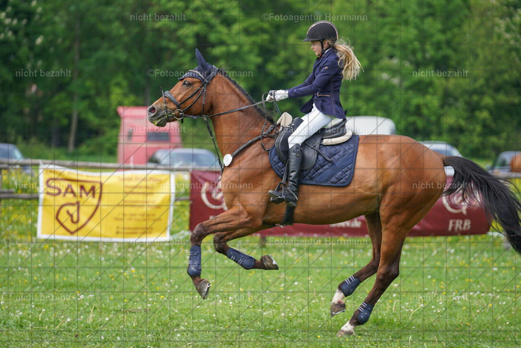 20240509-FAH02806 | Turnierbilder der Turnierfotografen Bayern, Pferdesport Fotografie, Reitsportbilder, Turnier Landberg am Lech, Turnierbilder bayern, Fotoagentur Herrmann